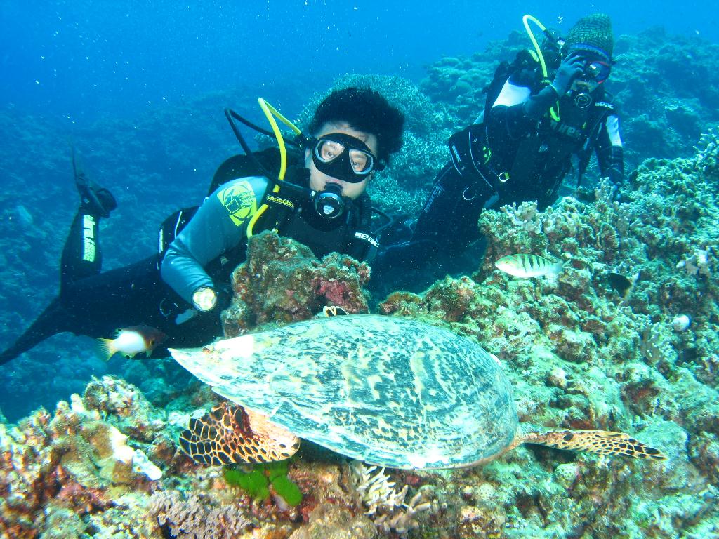 오키나와 토카시키 - 儀志布水路