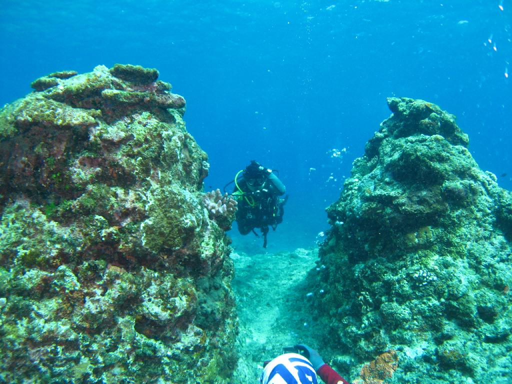 오키나와 토카시키섬 - イラブヤー