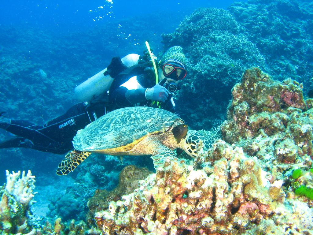 오키나와 토카시키 - 儀志布水路