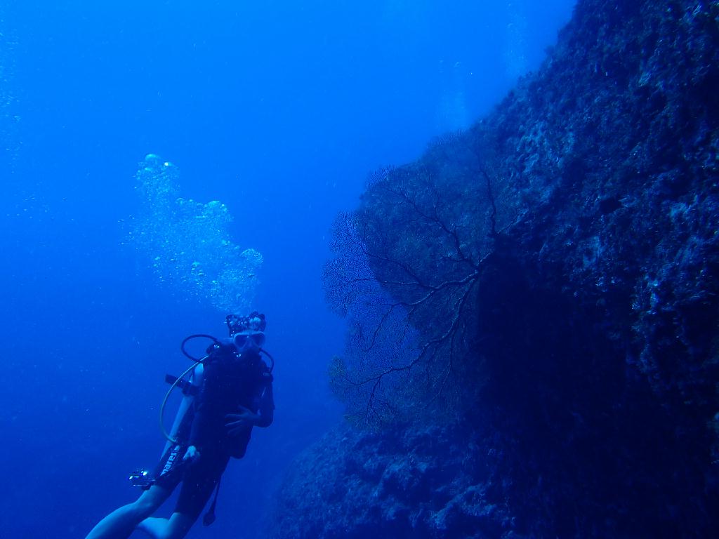 펀다이빙 - 괌 - 크래비스