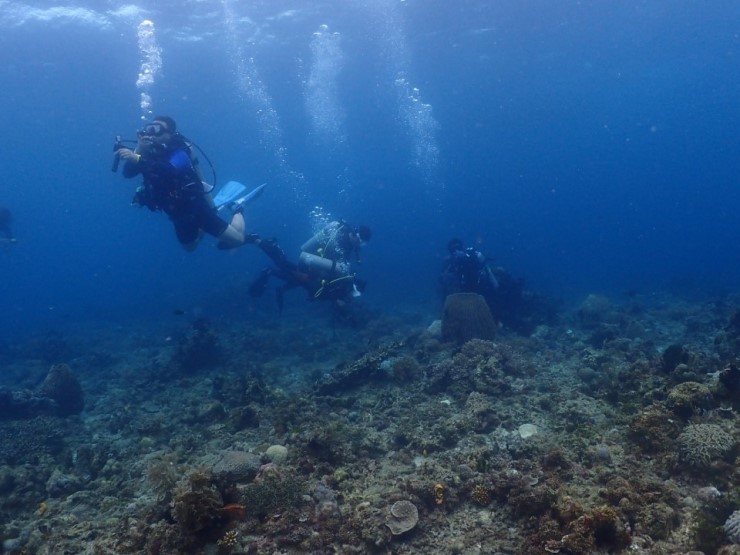 펀다이빙 - 필리핀 아닐라오 킹콩다이브리조트 - 아플스락