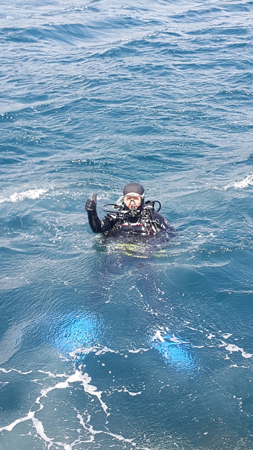 오픈워터 과정 해양실습 - 제주 범섬 - 해송