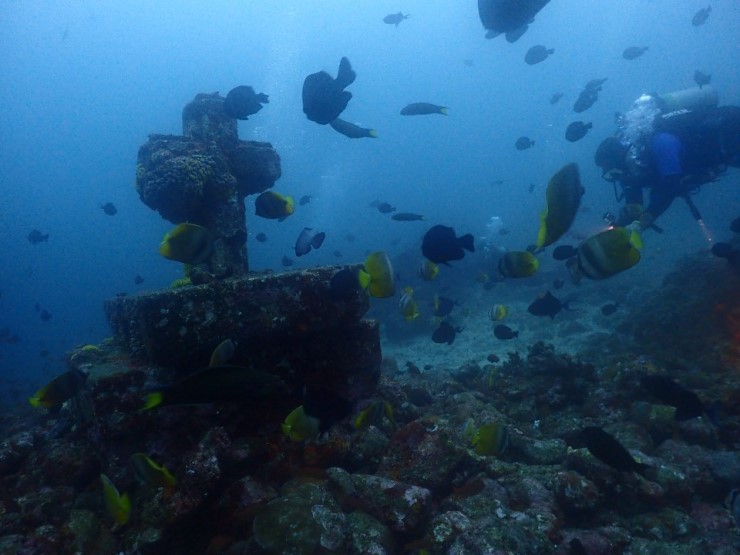 펀다이빙 - 필리핀 아닐라오 킹콩다이브리조트 - 성당바위