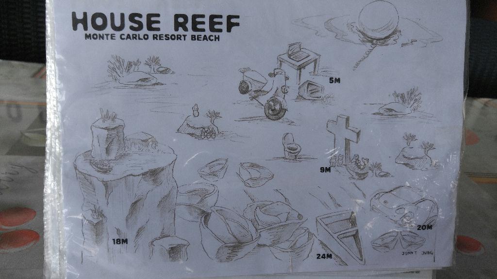 잇다이버스 아닐라오투어 - Anilao - House Reef