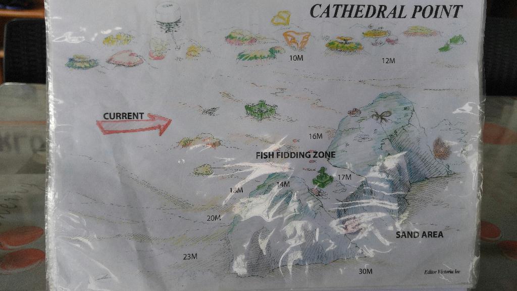잇다이버스 아닐라오투어 - Anilao - Cathedral