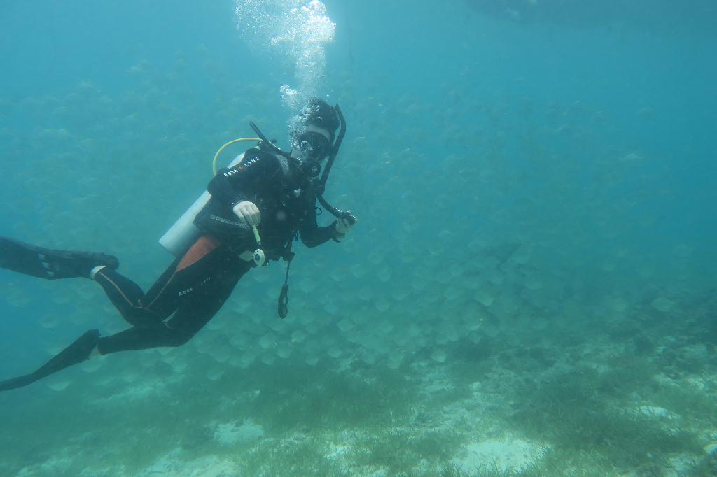교육 - 세부막탄 - 힐룽둥안