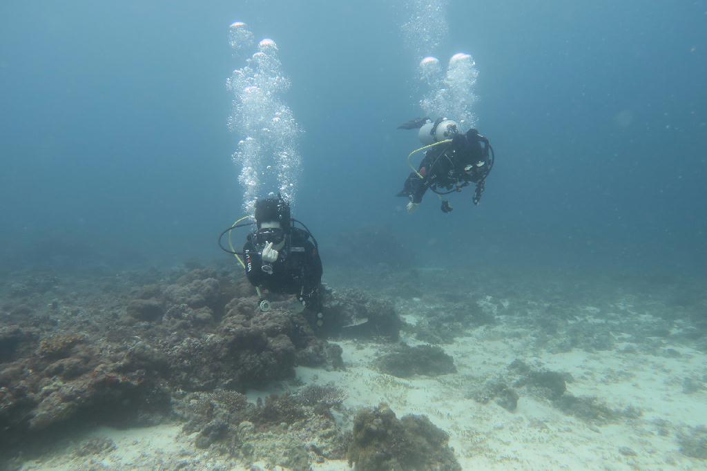 교육 - 세부막탄 - 힐룽둥안