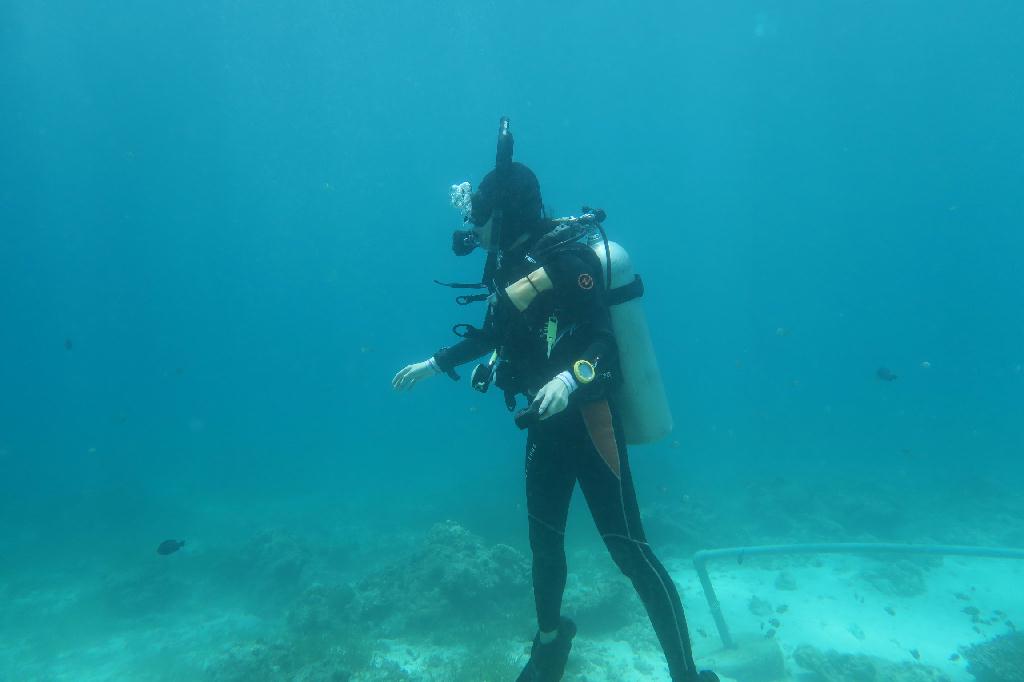 교육 - 세부막탄 - 힐룽둥안
