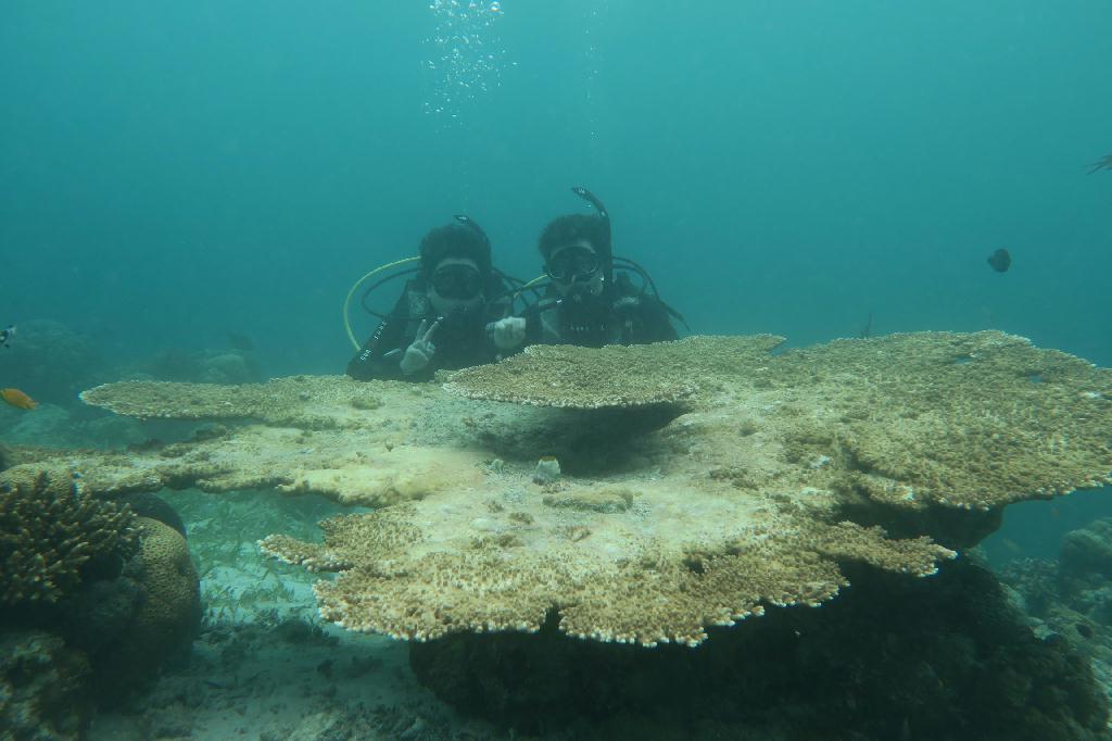 교육  - 세부막탄 - 힐룽둥안