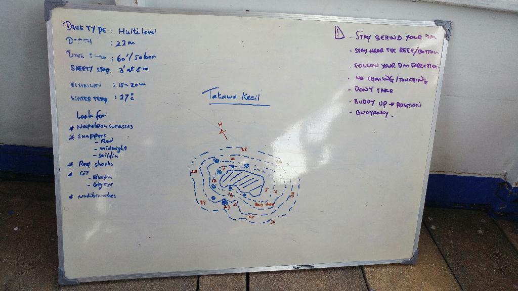 Komodo - Tatawa kecil