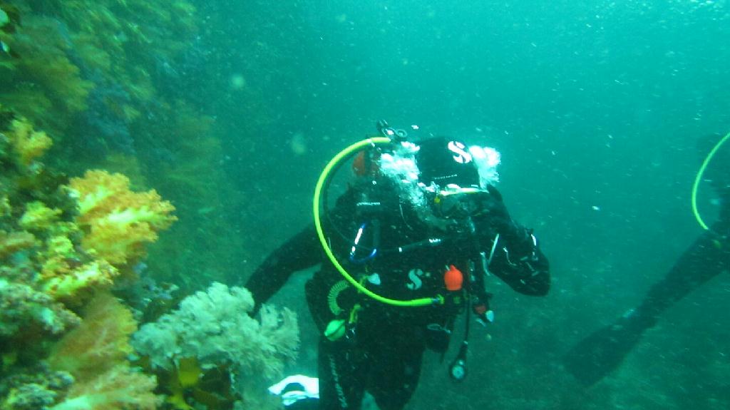 펀다이빙 - 제주도 다이브 리조트 - 문섬 만남의 광장