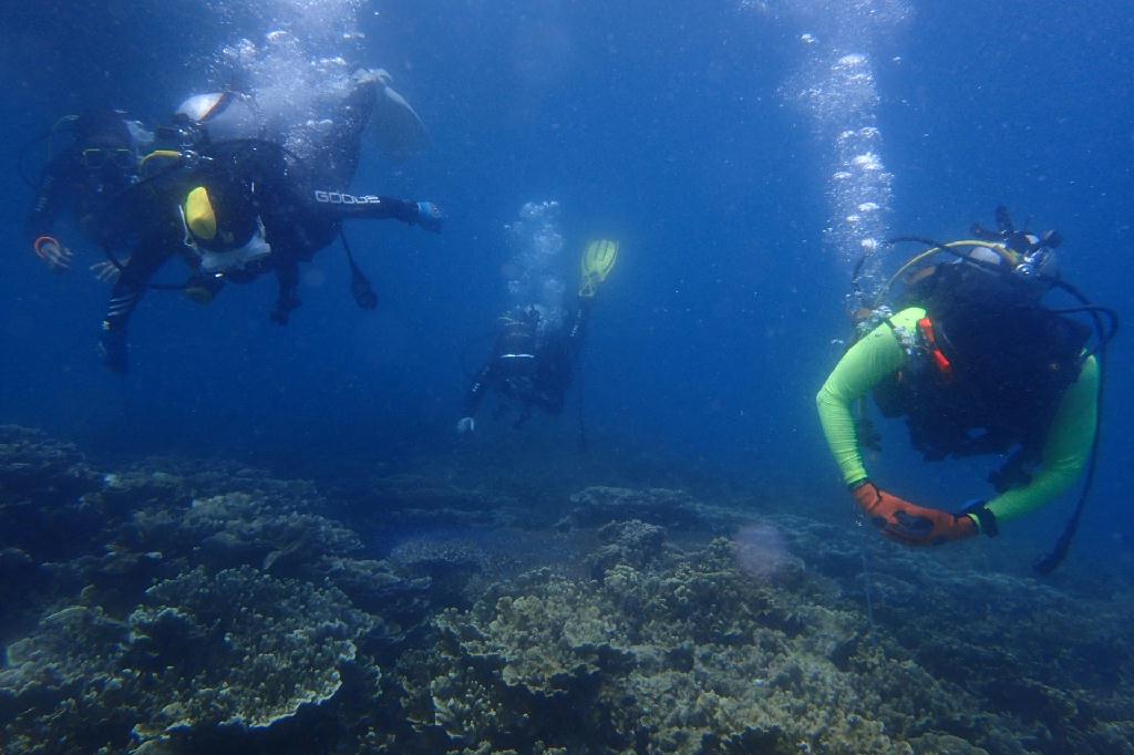 pescador island