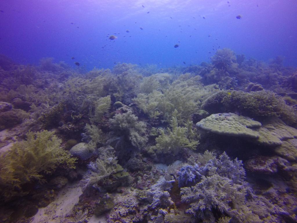 liloan