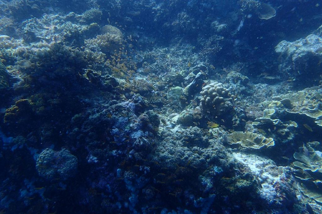 pescador island
