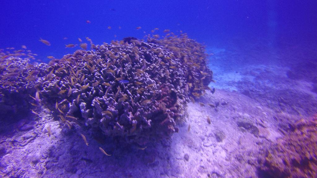 sumilon island