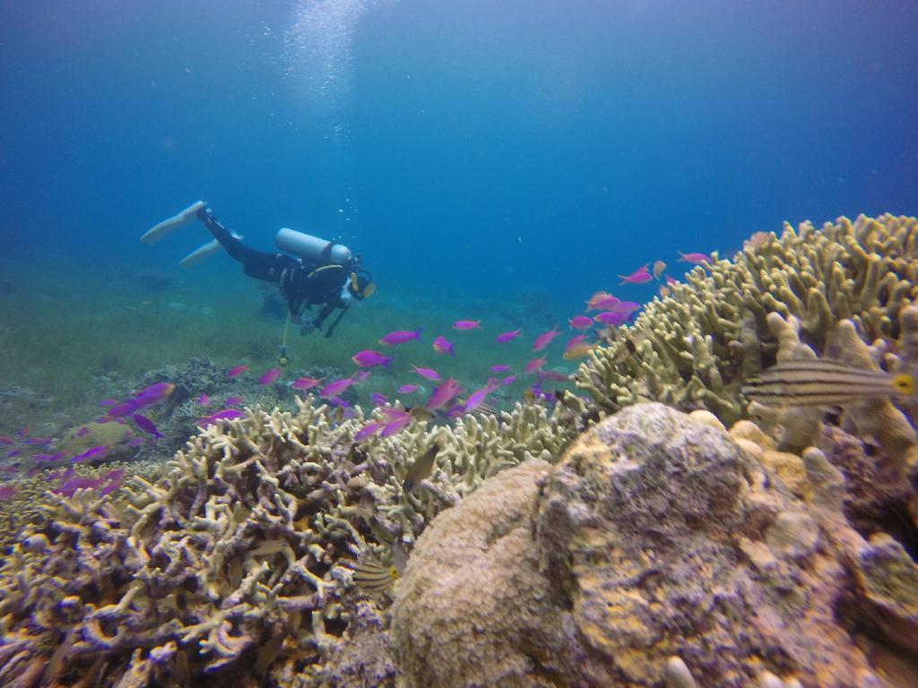 Bohol Island - eden