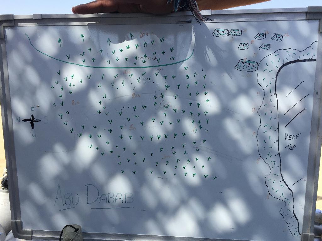 Fun Diving - Marsa alam  - Abu Dabab