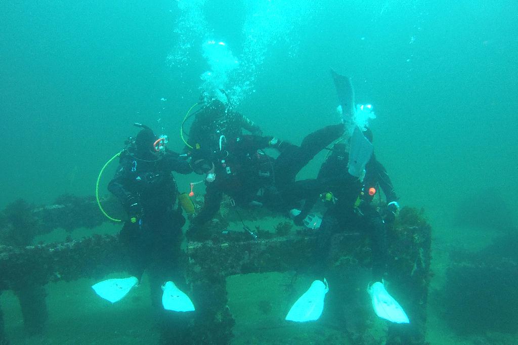 남애리 아쿠아갤러리 - DBQ2