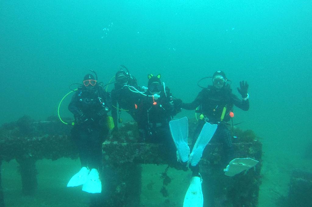 남애리 아쿠아갤러리 - DBQ2