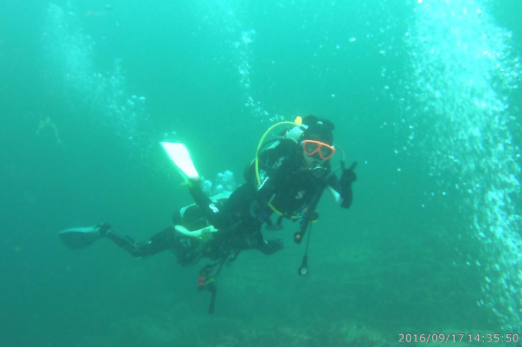 백도수중 - 다섯손가락