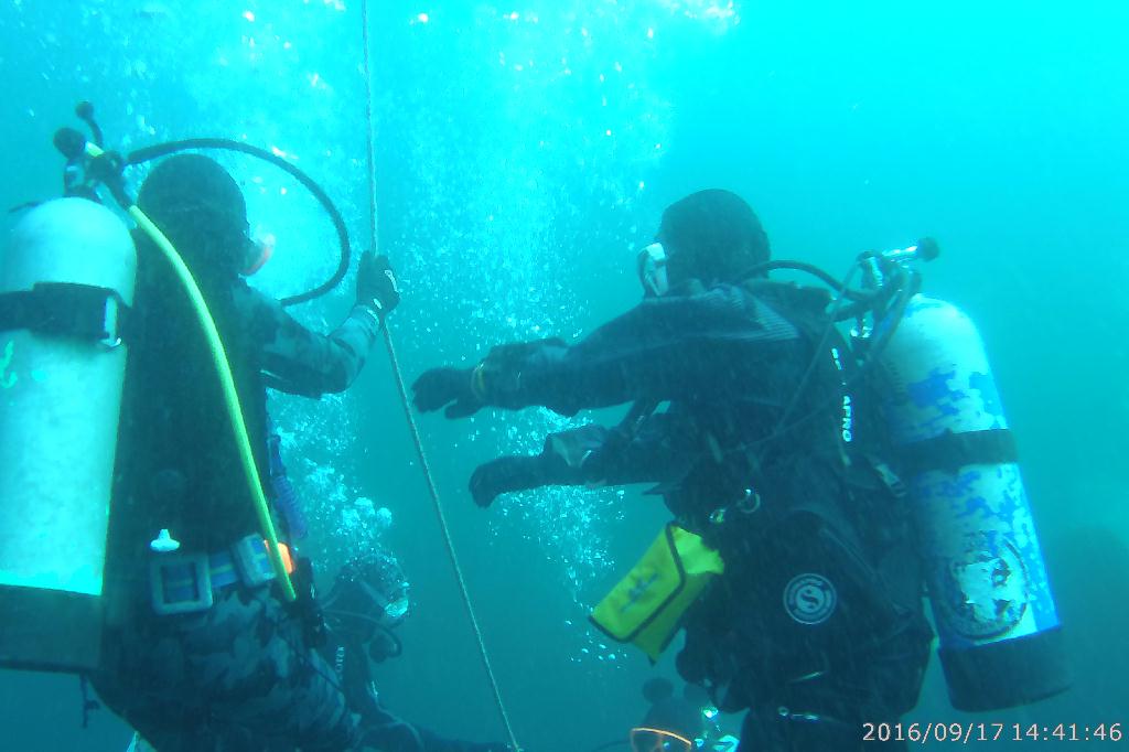 백도수중 - 다섯손가락