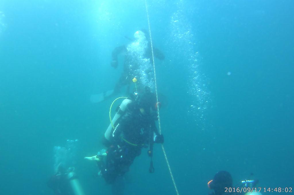 백도수중 - 다섯손가락