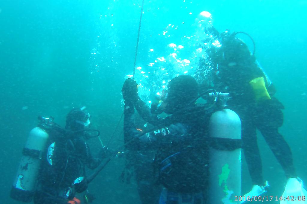 백도수중 - 다섯손가락