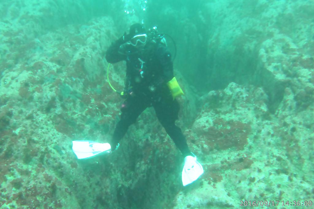 백도수중 - 다섯손가락