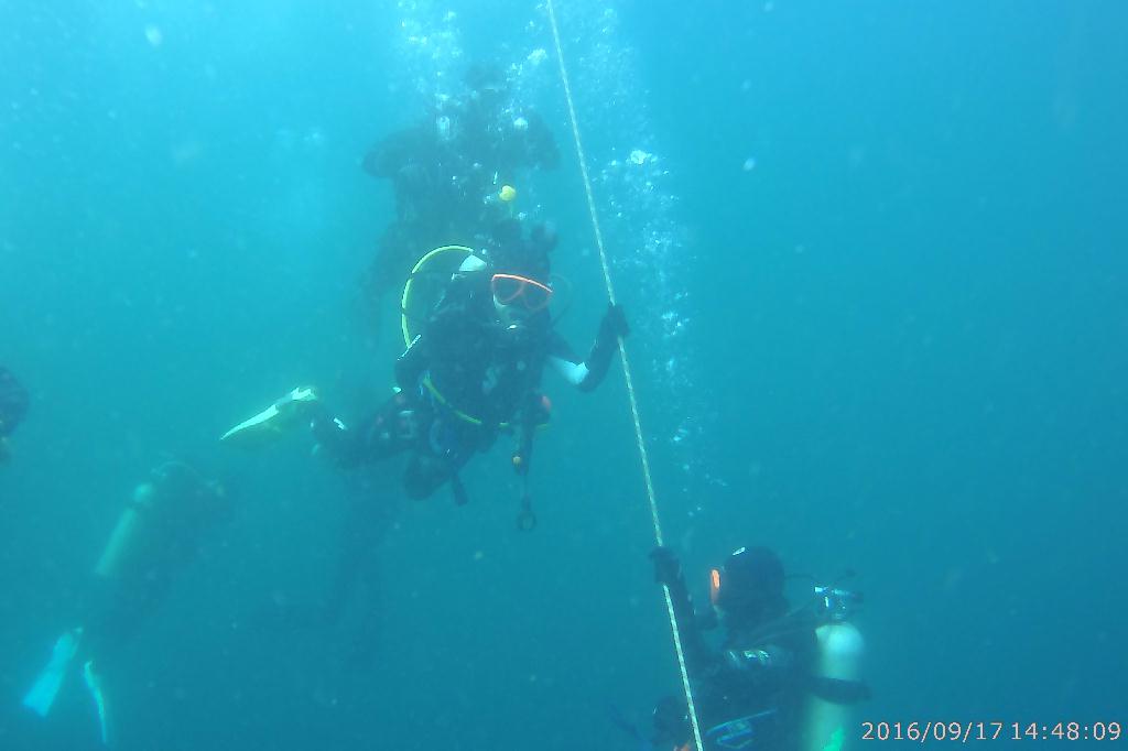 백도수중 - 다섯손가락