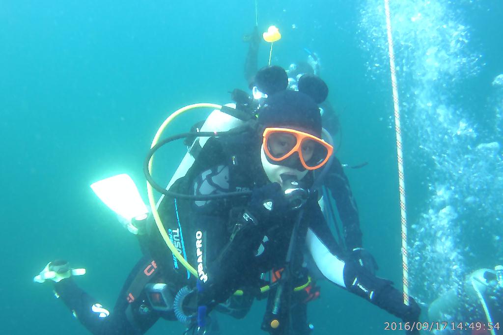 백도수중 - 다섯손가락