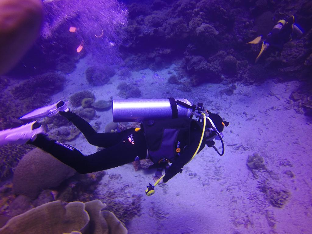 Apo Island