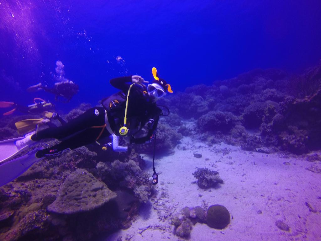 Apo Island