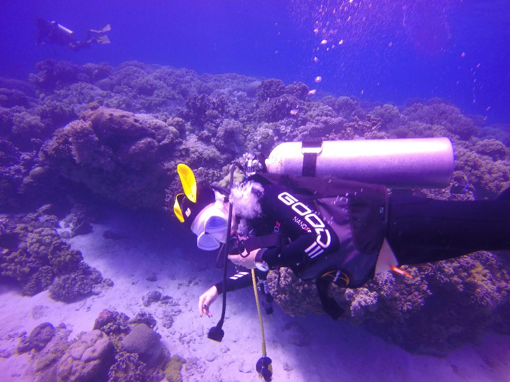Apo Island