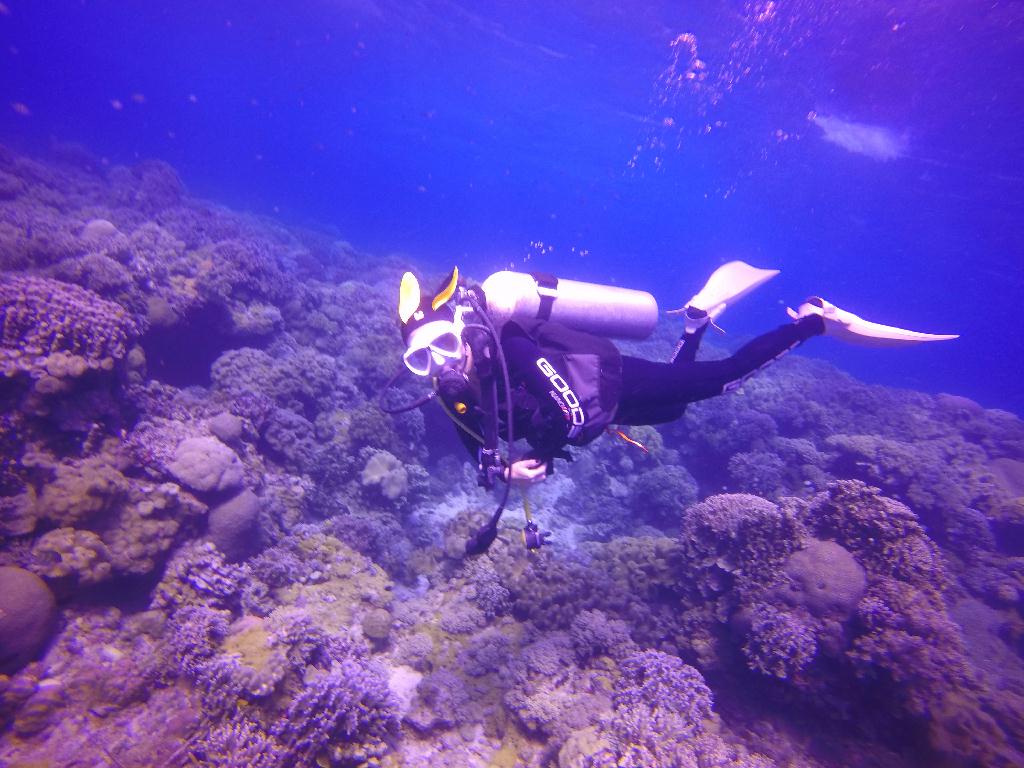 Apo Island