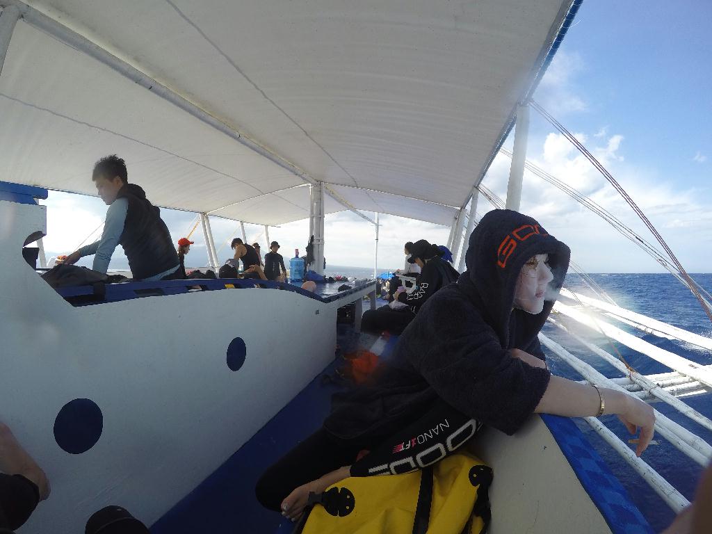Apo Island