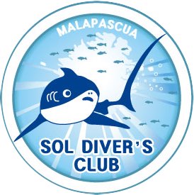 환도상어 관찰 - 말라파스쿠아(필리핀) - 모나드숄