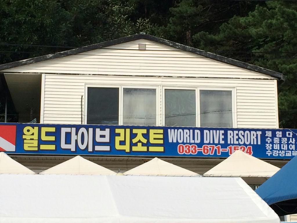 동해 바다 첫 다이빙  - 월드다이브리조트 (강원도 양양군 현남면) - 인공어초