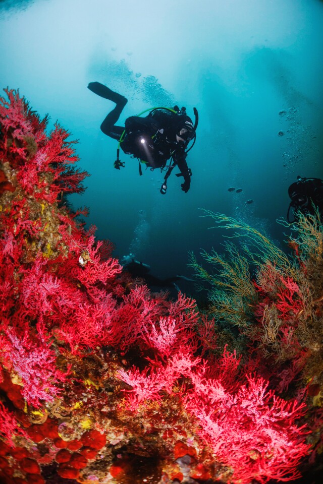 펀 - 문암리조트 - 낙산대기?