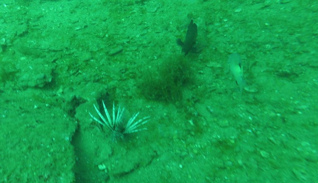 Phuket - Boonsoong wreck