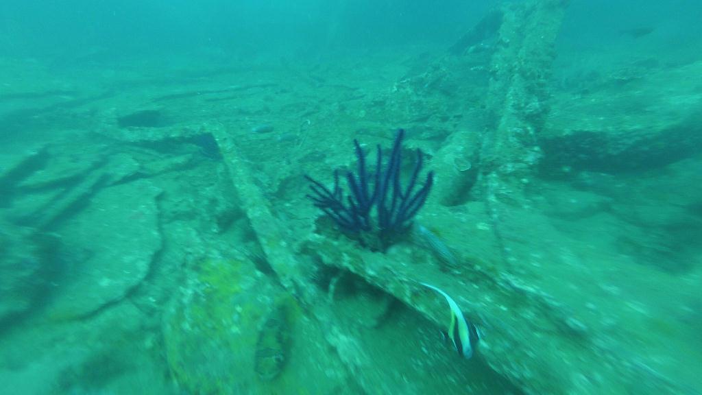 Phuket - Boonsoong wreck