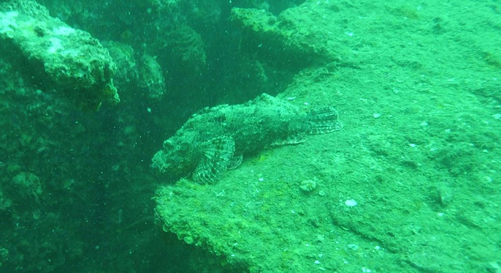 Phuket - Boonsoong wreck