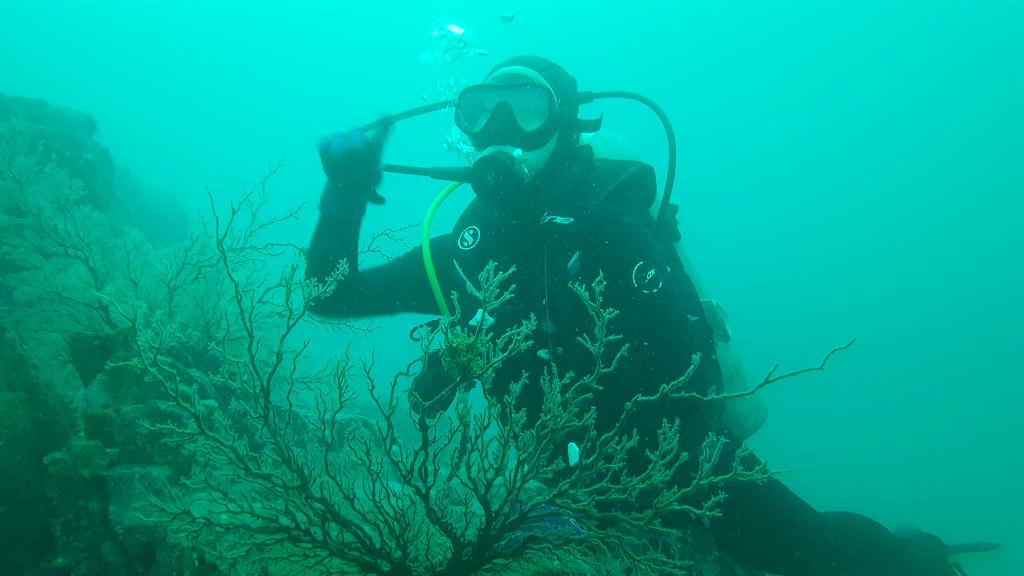 나두번째야~~~~~ - 구룡포펀다이브리조트 - 부영사랑으로1차