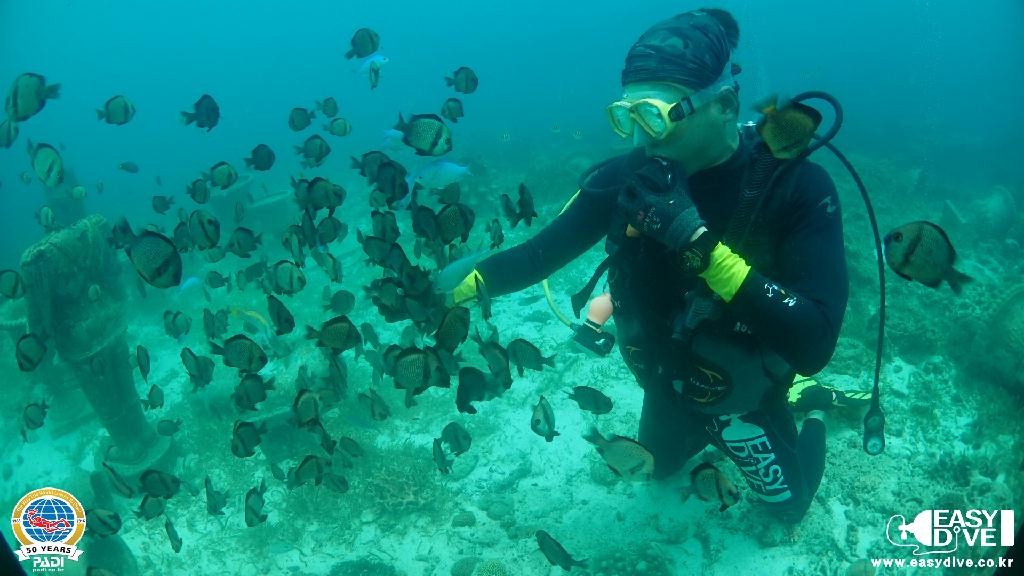 어드밴스드 과정 마지막 다이빙 - 세부 막탄 - 모밴픽 리조트 앞바다
