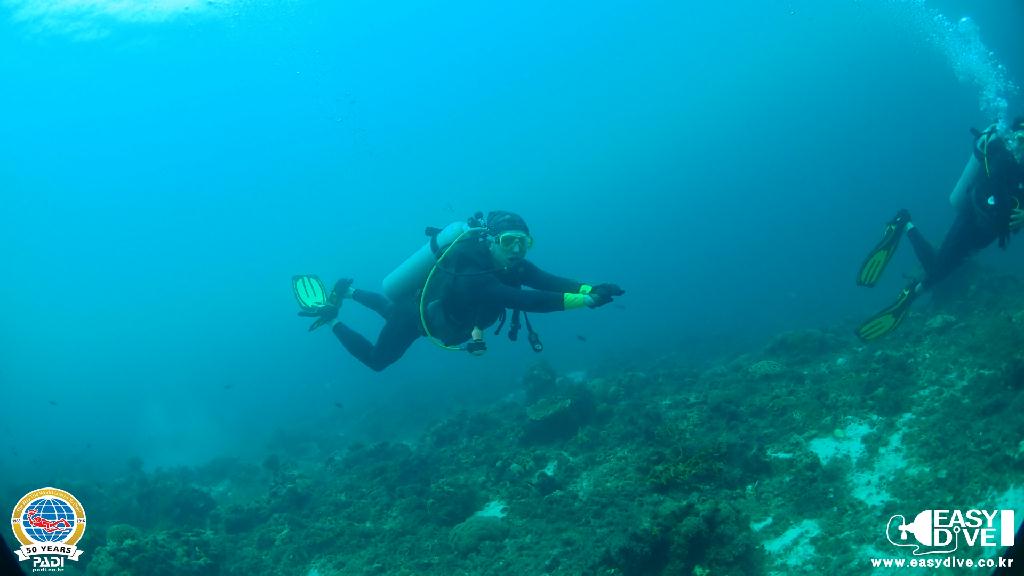 어드밴스드 과정 마지막 다이빙 - 세부 막탄 - 모밴픽 리조트 앞바다
