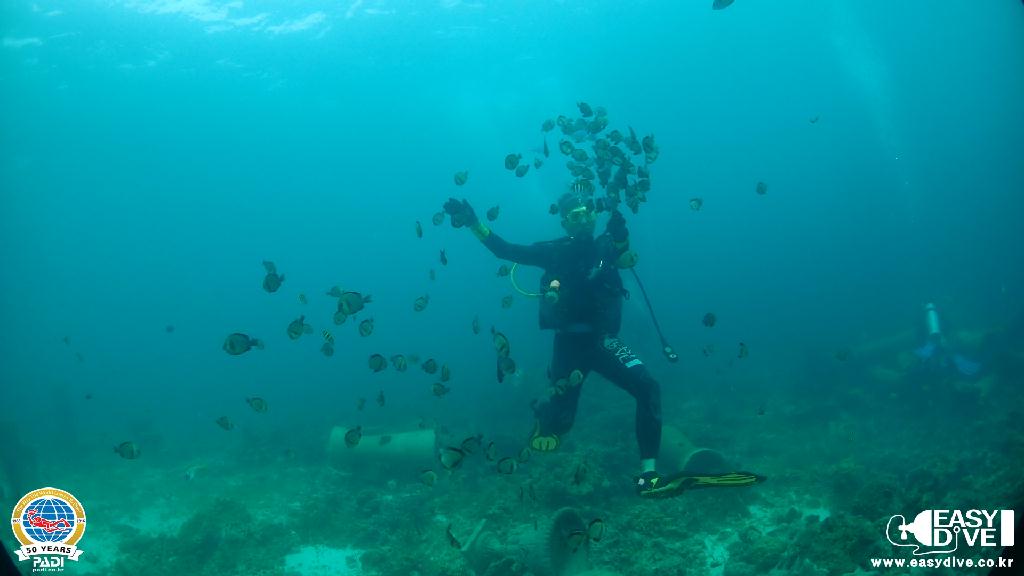 어드밴스드 과정 마지막 다이빙 - 세부 막탄 - 모밴픽 리조트 앞바다