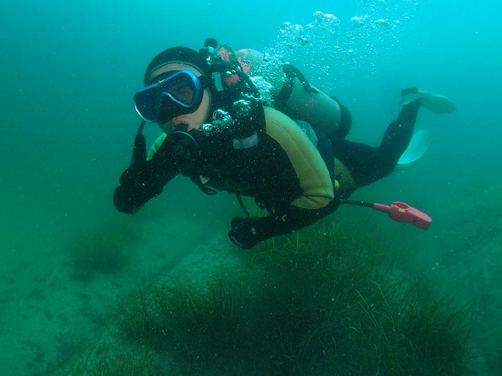 안보임 - 백상어 리조트 - 공헌진