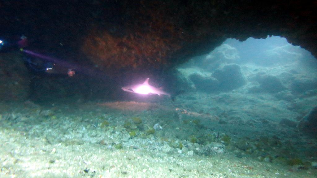 Malapasuca - Gato Island