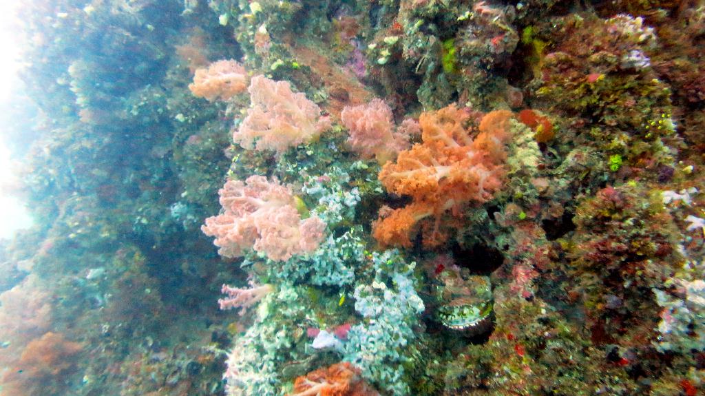 Malapasuca - Gato Island