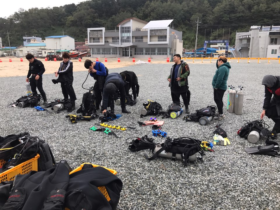 잘피 뽑는 작업 - 후포항