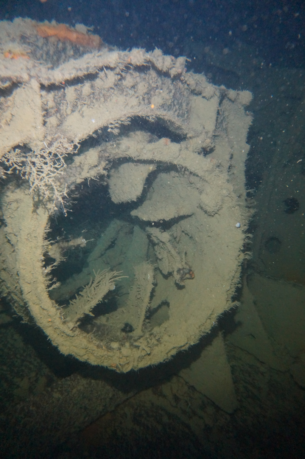 필리핀 코론 산호다이브 - 아킷수시마